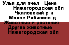 Ульи для пчел › Цена ­ 6 500 - Нижегородская обл., Чкаловский р-н, Малое Рябинино д. Животные и растения » Другие животные   . Нижегородская обл.
